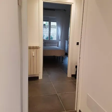 Carolina Cosy مونتيروسّو ال ماري